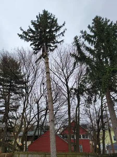 Projects 2023 3 9 10