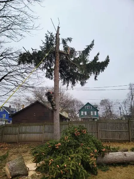 Projects 2023 3 9 12