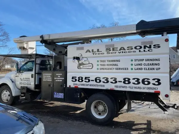 Projects 2023 3 9 4 1