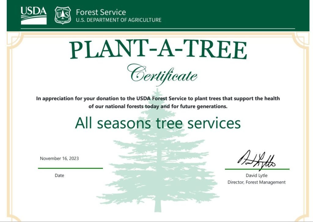 PlantaTreeCertificate